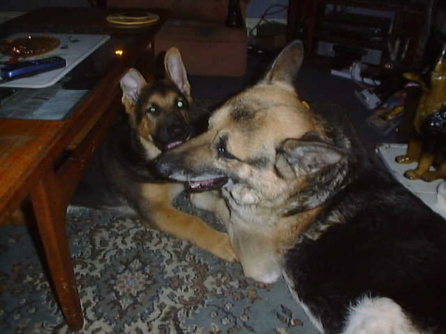 dsc00013.jpg