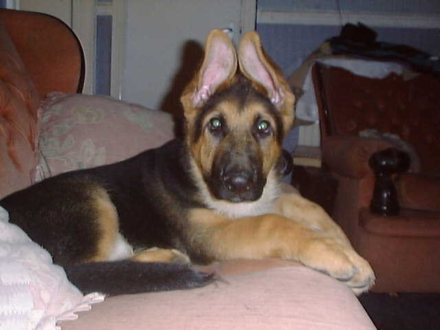 dsc00015.jpg