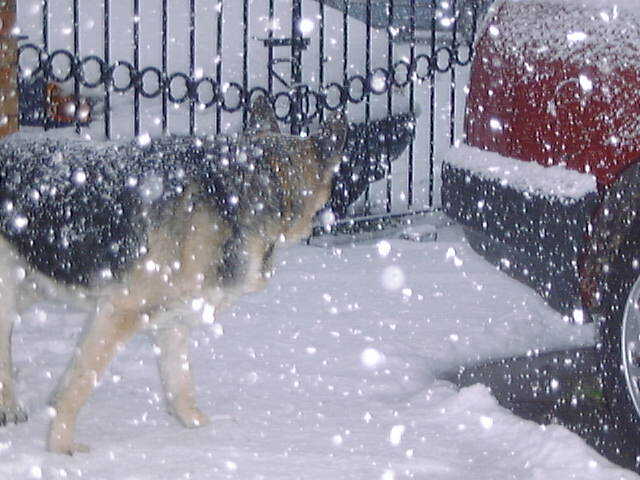 dsc00016.jpg